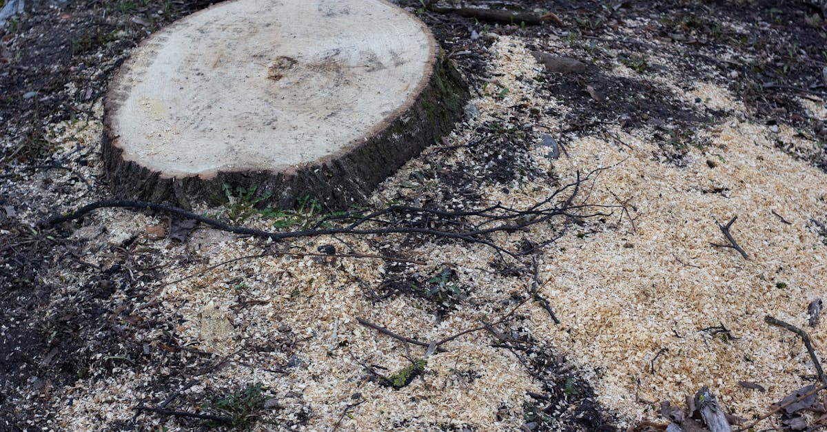 Tree Removal Cost Calculator | Low–Mid–High Estimate + Charts