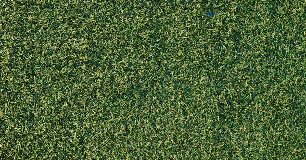 Artificial Turf Cost Calculator | Fake Grass Installed Band (USD)