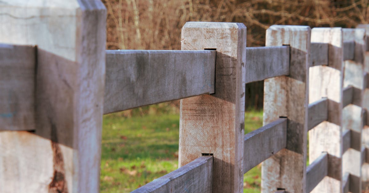 Fence Replacement Cost Calculator | Wood, Vinyl, Chain Link + Charts
