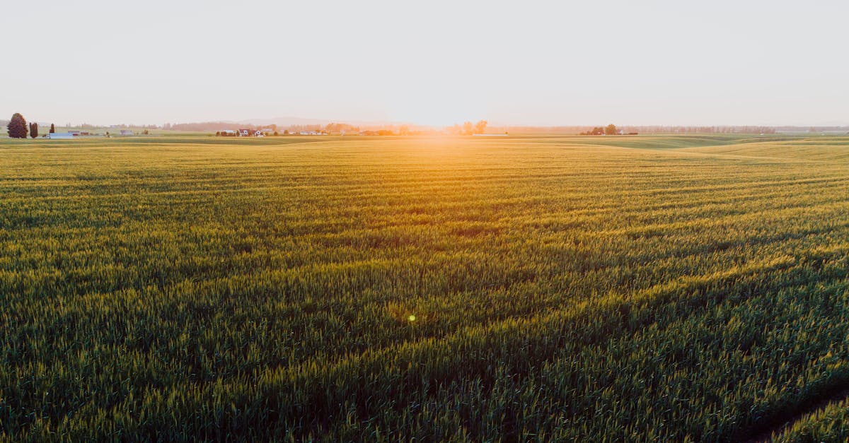 Acres Per Hour Calculator | Field Rate From Time or Swath & Speed