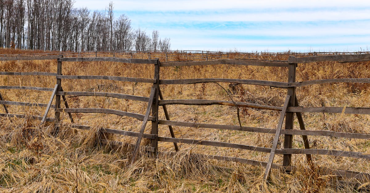 Rural fence replacement cost before sale (2026) | CalculaFast