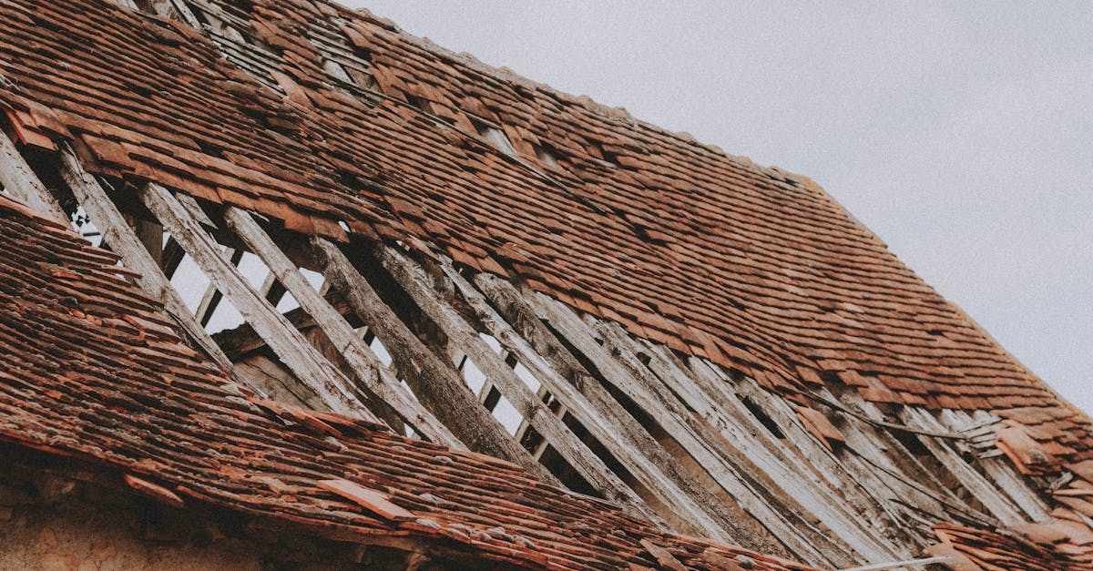 Roof leak water damage restoration cost (2026) | CalculaFast