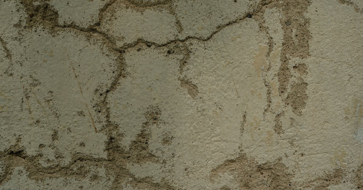 Foundation crack repair cost before sale (2026) | CalculaFast