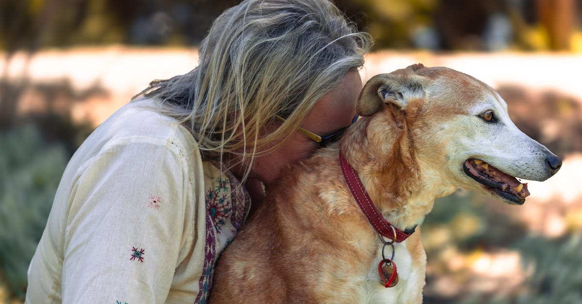 Dog bite settlement amount long-tail PI (2026) | CalculaSite