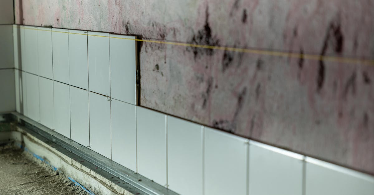 Mold remediation cost long-tail attic (2026) | CalculaSite