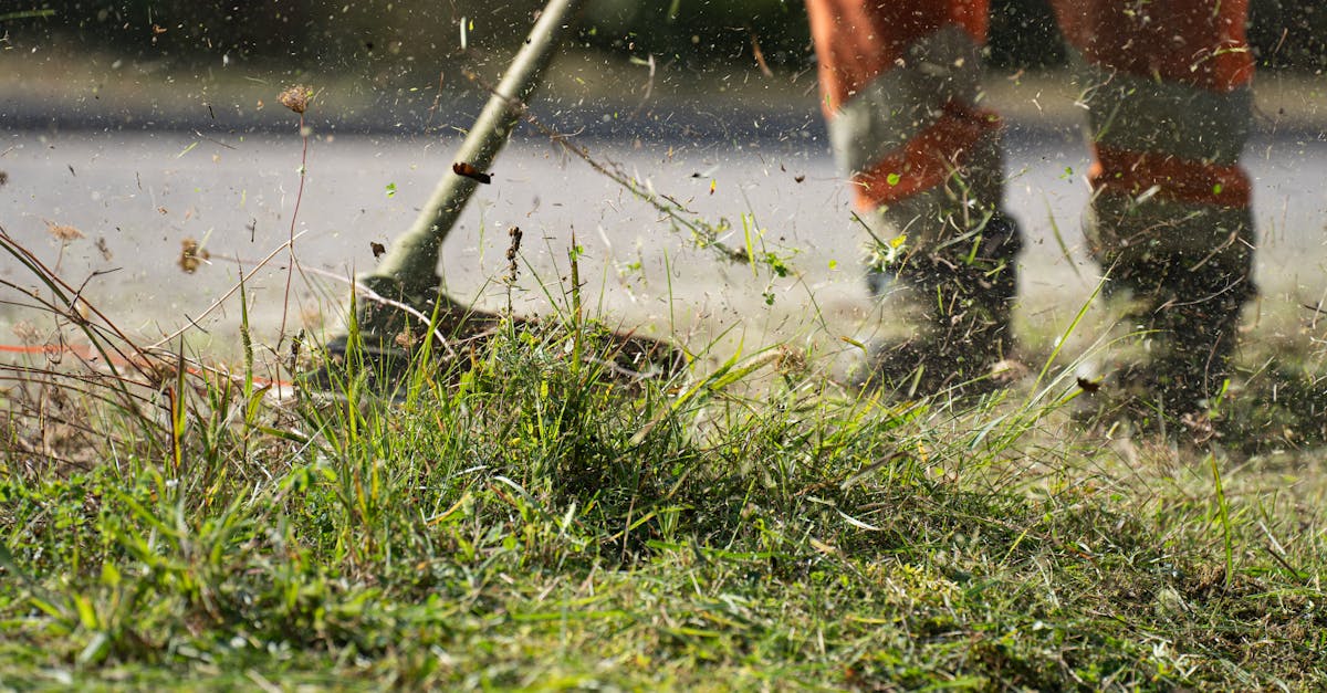 Lawn mowing cost monthly + landscaping long-tail (2026) | CalculaSite