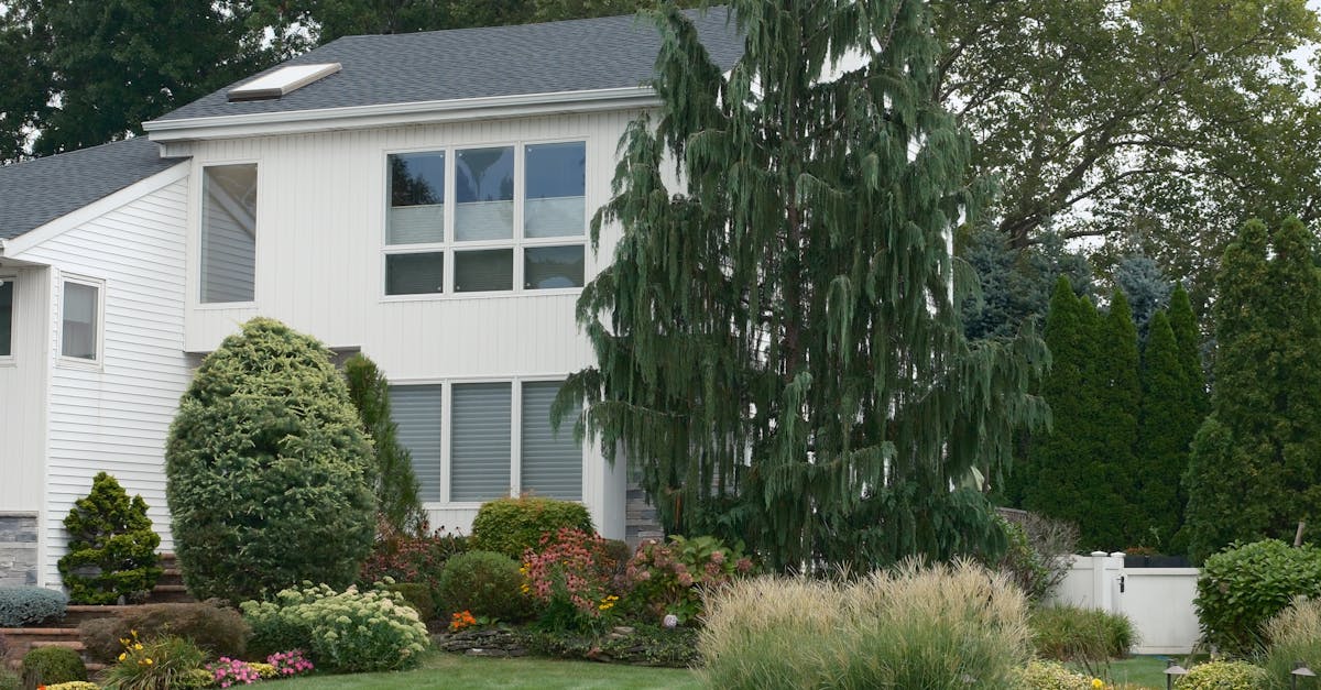 Front yard landscaping cost + turf & pressure wash estimate (2026) | CalculaSite