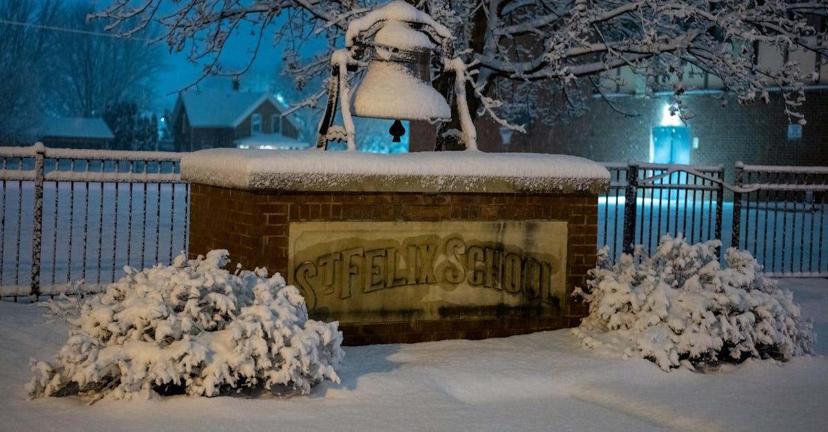 Snow day calculator guide (2026) | school closures & indoor projects | CalculaSite
