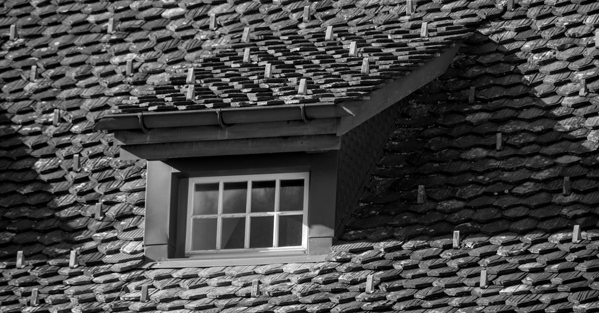 Calculate roof area for quotes + storm tree removal budget (2026) | CalculaSite